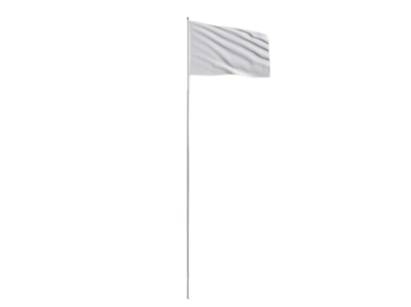 flagshtok-18-metrov